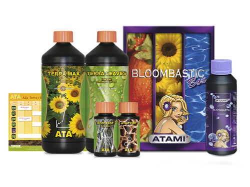 [ATAMI] Bloombastic Box