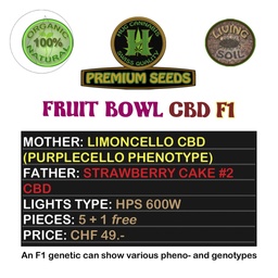 [HUG CANNABIS] Berry Mix Cake CBD F1 5 Seeds + 1 Free