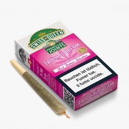 [SWISS QUEEN] PREROLL Tropical Dream