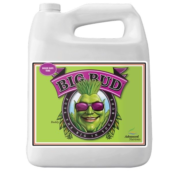Big Bud - 500ml