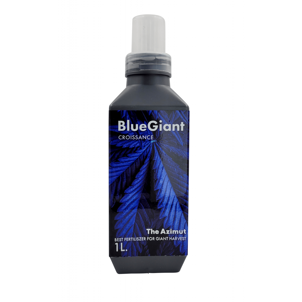 [THE AZIMUT] Blue Giant - 1L