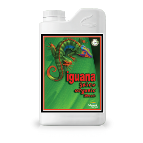 Iguana Bloom - 1L