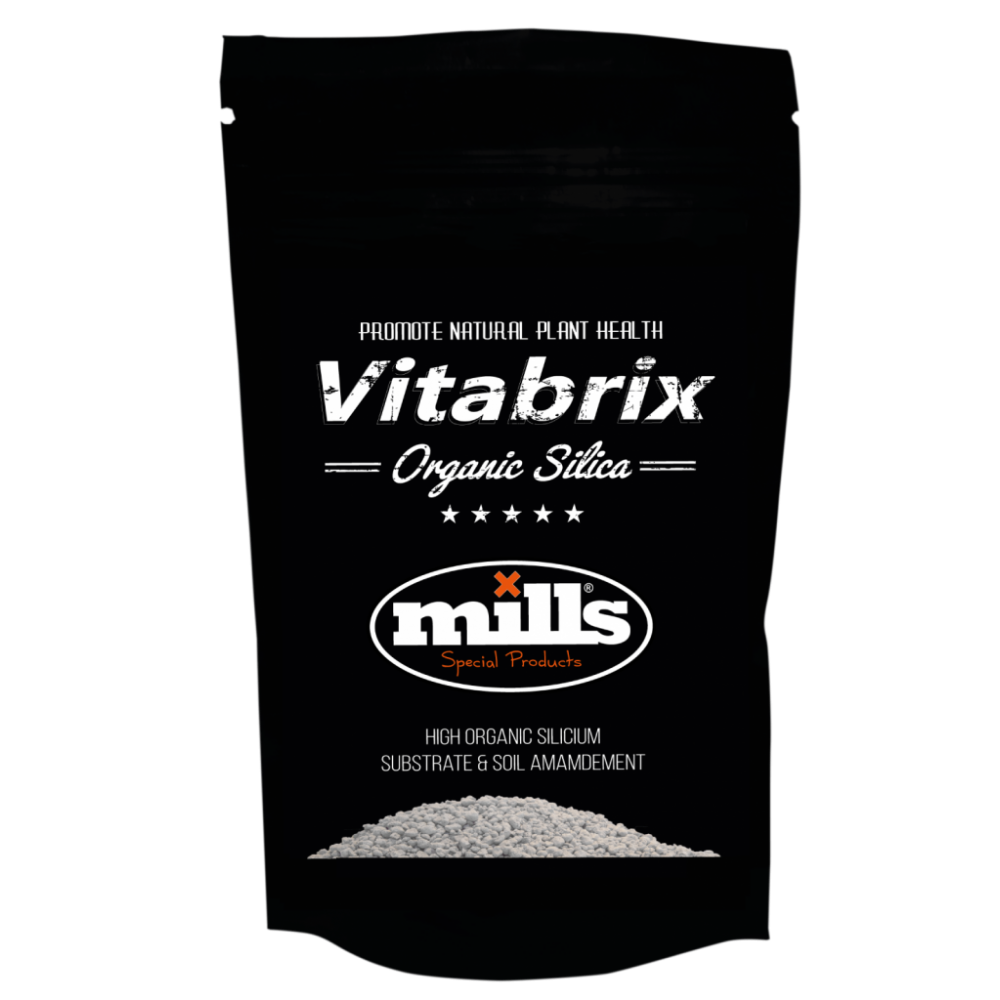 [MILLS] Vitabrix - 300g 