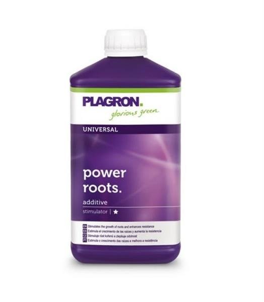 Power Roots - 1L