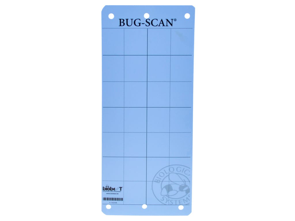 Bug Scan Blue - 25cm