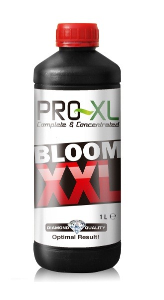 Bloom XXL - 1L