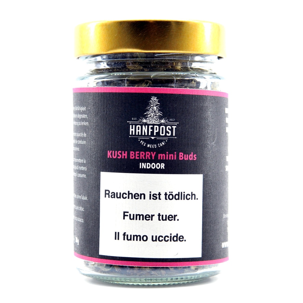 [HANFPOST] Hanfpost - Kush Berry - Mini Knospen - 20g
