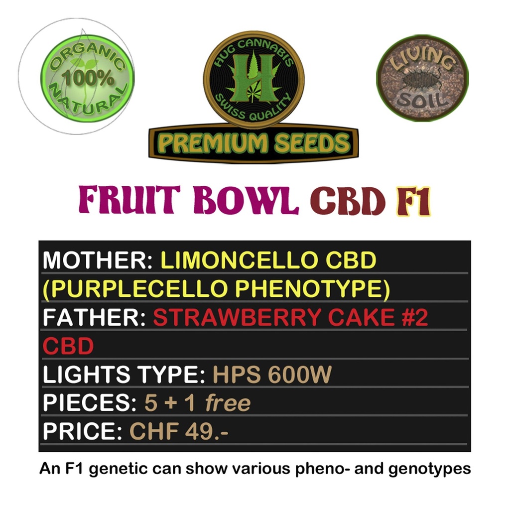 Fruit Bowl CBD F1 5 Seeds + 1 Free
