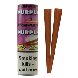 [CYCLONES] Cones - PURPLE