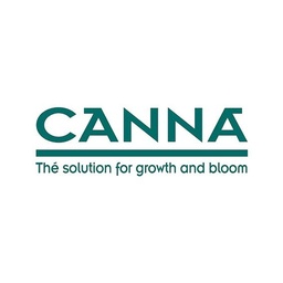 [CANNA] CHAUSSETTES VERTES