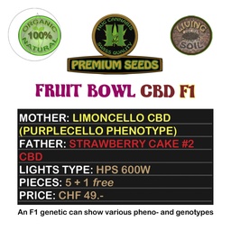 [HUG CANNABIS] Fruit Bowl CBD F1 5 Seeds + 1 Free