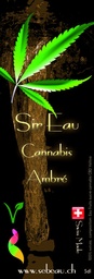 [SEB EAU] Sir Water - Amber Cannabis - Sirup