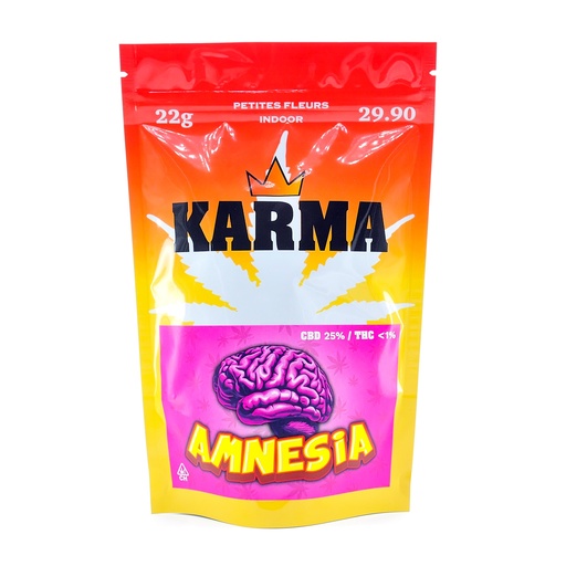 [KARMA] Amnesia - 22g